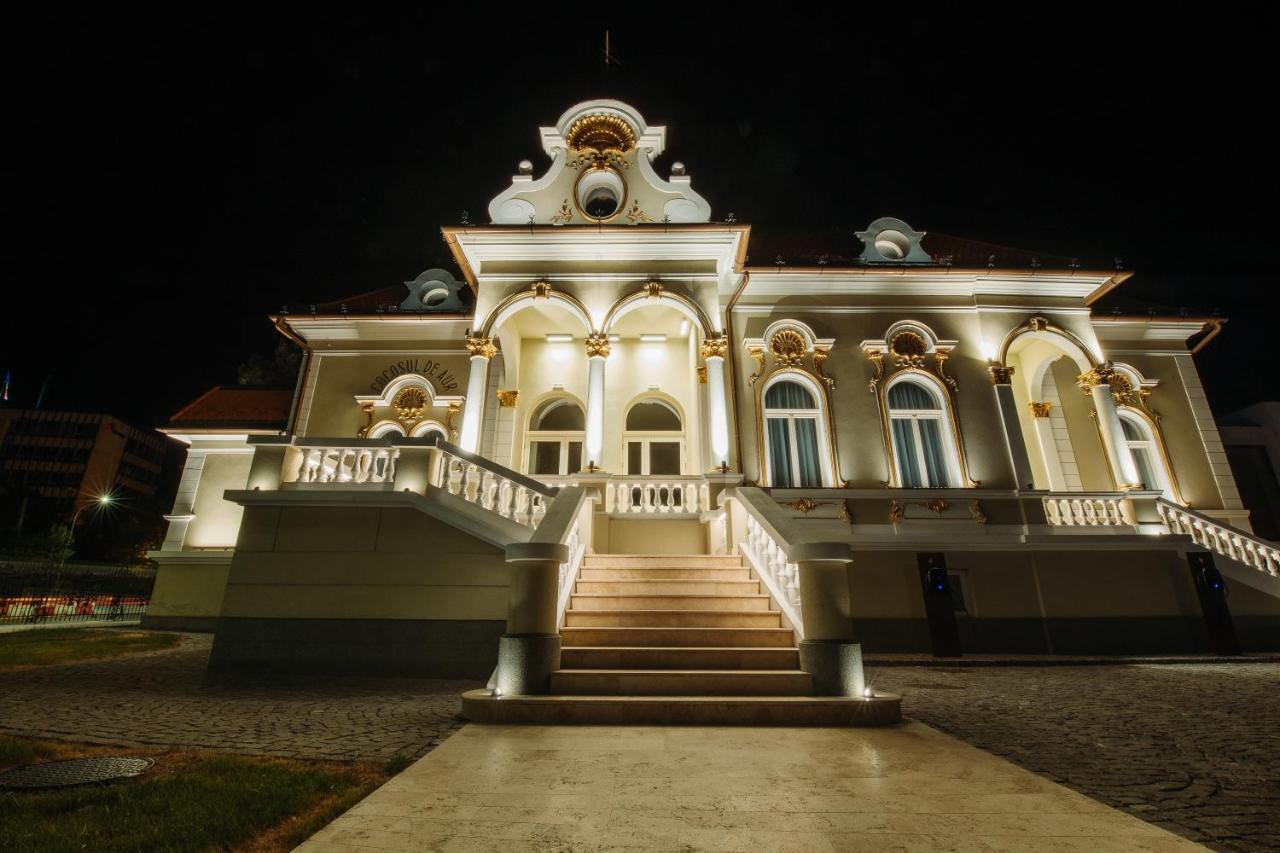 Boutique Hotel Cocosul De Aur Targu Mures Exterior photo